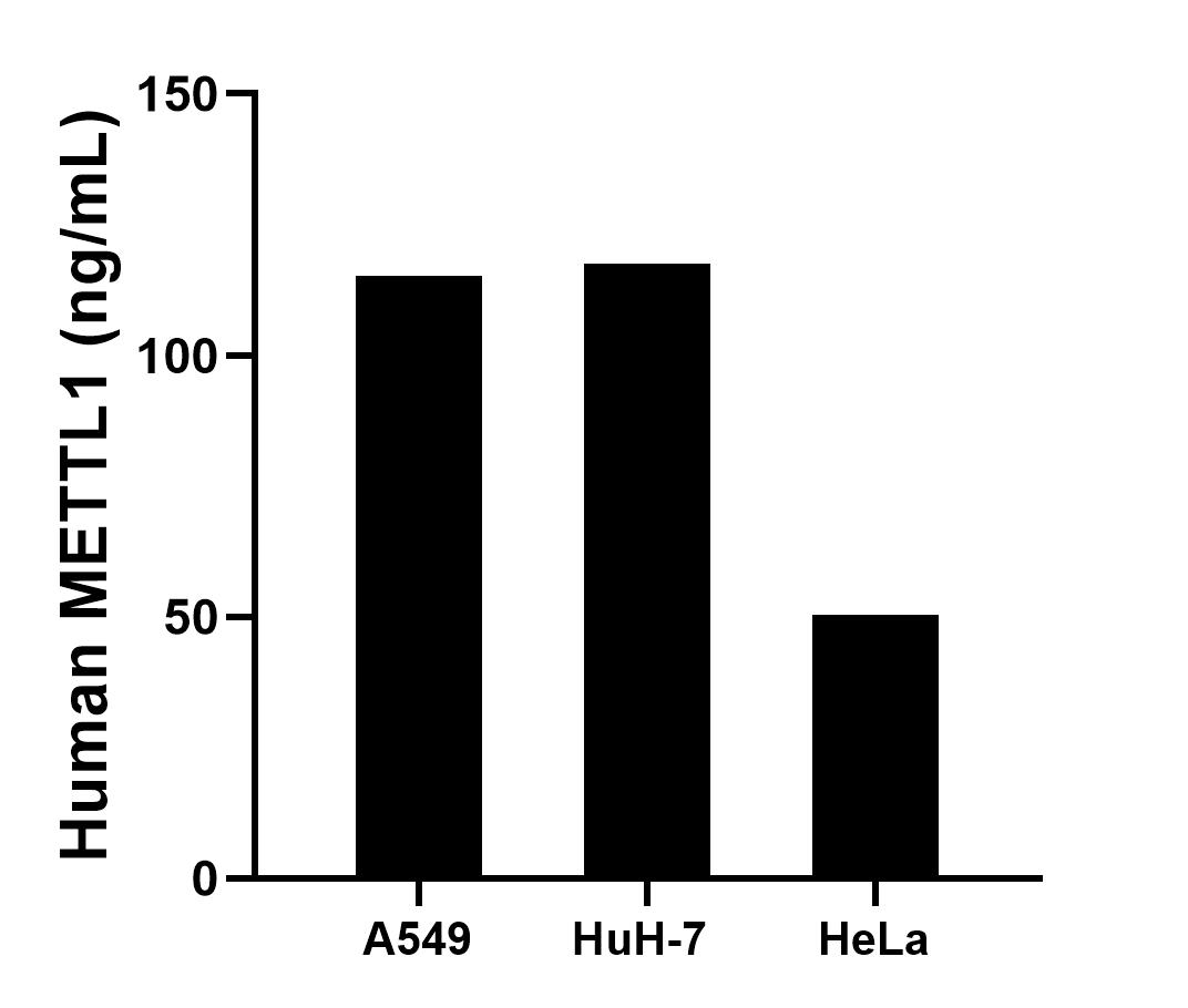 Sample test of MP01400-1